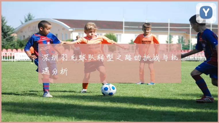 深圳羽毛球队转型之路的挑战与机遇分析