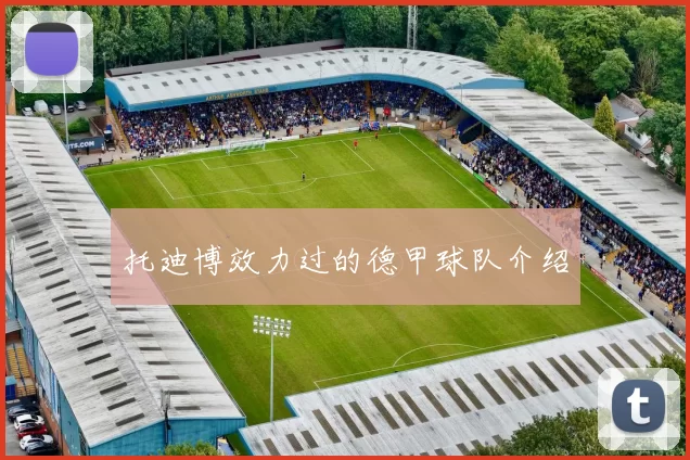 托迪博效力过的德甲球队介绍