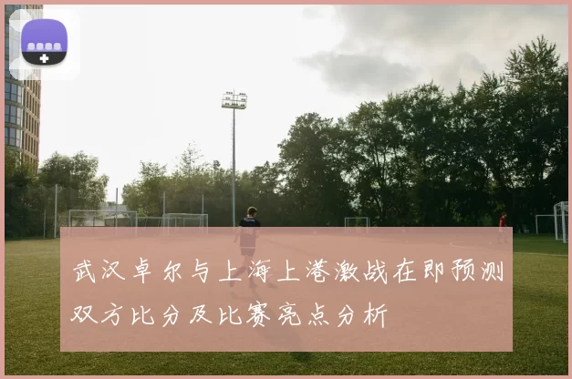武汉卓尔与上海上港激战在即预测双方比分及比赛亮点分析