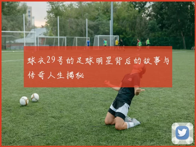 球衣29号的足球明星背后的故事与传奇人生揭秘