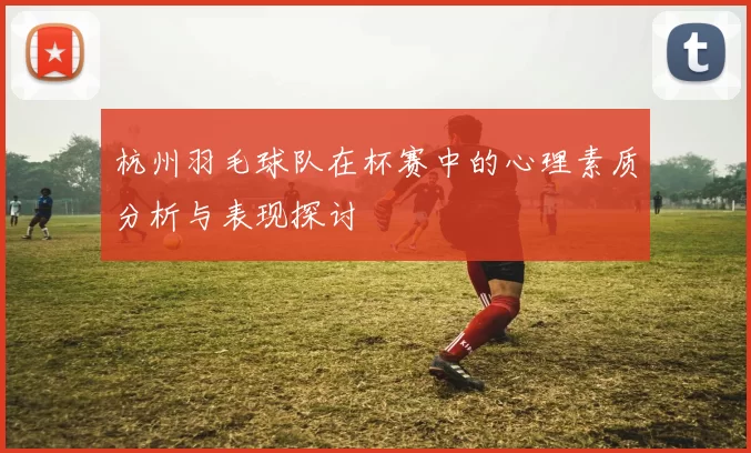 杭州羽毛球队在杯赛中的心理素质分析与表现探讨