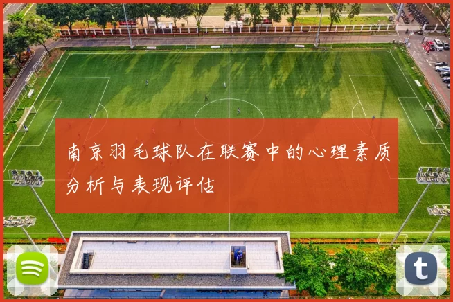 南京羽毛球队在联赛中的心理素质分析与表现评估