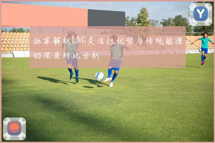 独家解析LNG灵活性优势与传统能源的深度对比分析