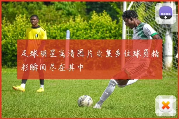 足球明星高清图片合集多位球员精彩瞬间尽在其中