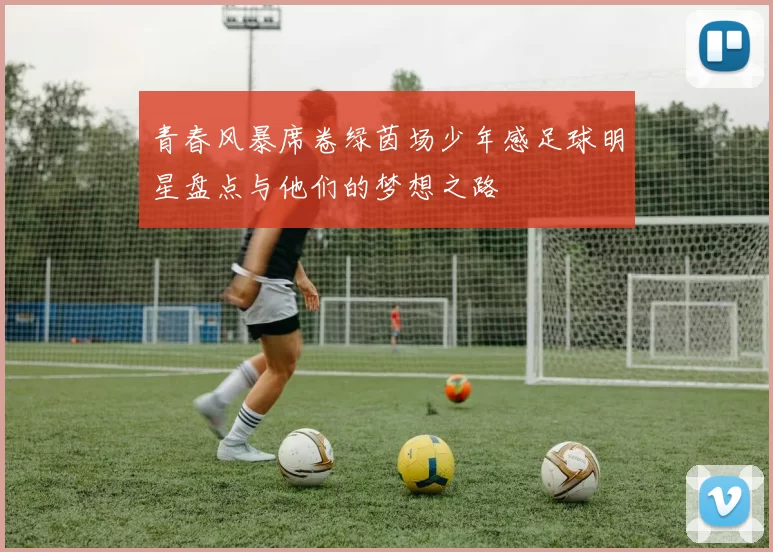 青春风暴席卷绿茵场少年感足球明星盘点与他们的梦想之路