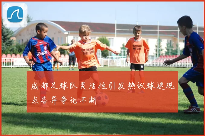 成都足球队灵活性引发热议球迷观点各异争论不断