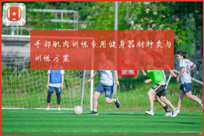 手部肌肉训练专用健身器材种类与训练方案