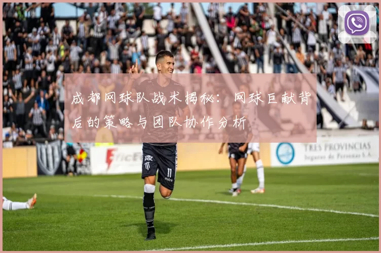 成都网球队战术揭秘：网球巨献背后的策略与团队协作分析