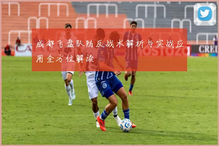 成都飞盘队防反战术解析与实战应用全方位解读