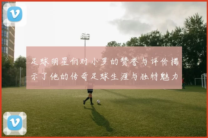 足球明星们对小罗的赞誉与评价揭示了他的传奇足球生涯与独特魅力
