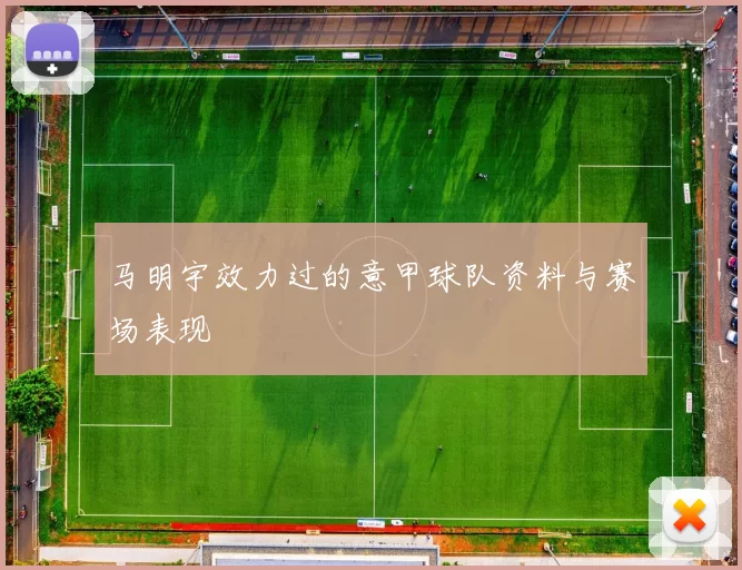 马明宇效力过的意甲球队资料与赛场表现
