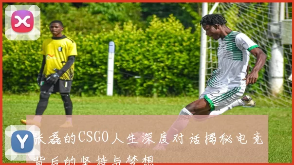张磊的CSGO人生深度对话揭秘电竞背后的坚持与梦想
