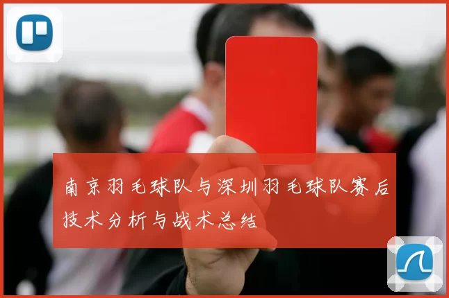 南京羽毛球队与深圳羽毛球队赛后技术分析与战术总结