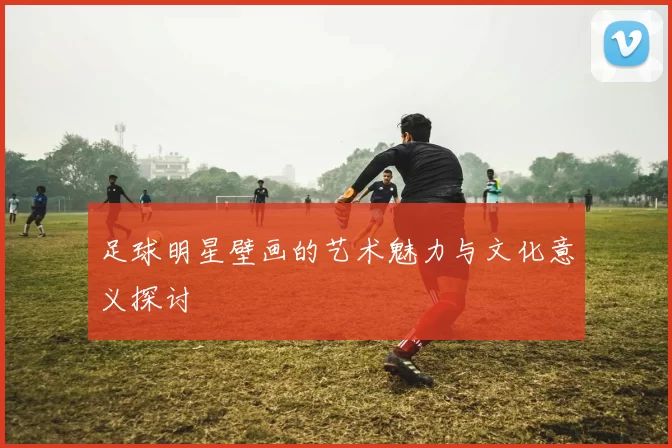 足球明星壁画的艺术魅力与文化意义探讨