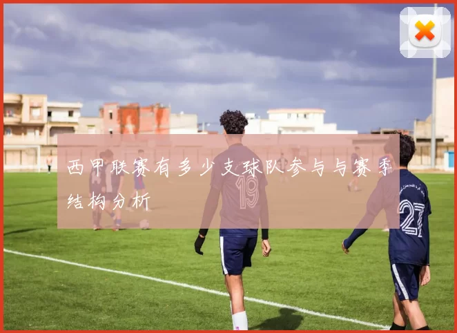 西甲联赛有多少支球队参与与赛季结构分析